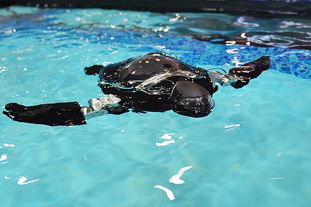 Postarají se vám o kytky i ptactvo, roboti si zaboxují. Novinky z veletrhu CES